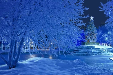 Pictures > Snowy Christmas Backgrounds