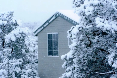 Snowy Christmas Backgrounds – PowerPoint Backgrounds & Templates