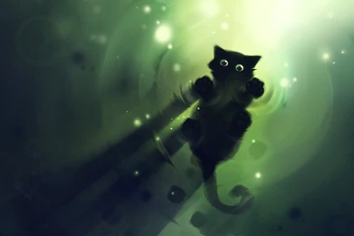Toothless Cat Wallpapers   Album On Imgur