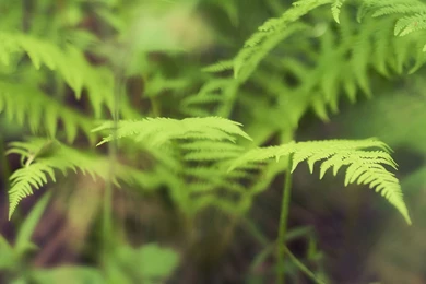 Spread Out Your Desktop With These Triple Monitor Wallpapers