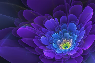 Fractal Computer Wallpapers, Desktop Backgrounds