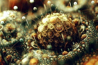 Fractal Art Computer Wallpapers, Desktop Backgrounds