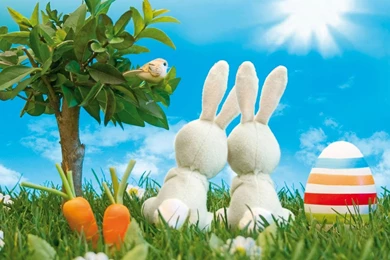 Cartoon Images Of Nature   Widescreen HD Wallpapers