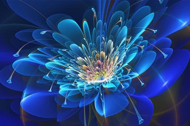 Fractal Computer Wallpapers, Desktop Backgrounds