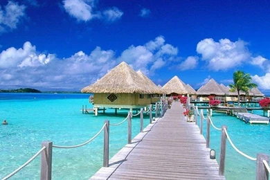 Free Wallpapers For My Computer Wallpapers Cave