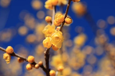 Our First Wallpapers The Pond Blog