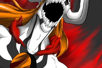 Gallery For   Bleach Full Hollow Ichigo