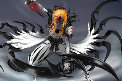 Bleach Full Hollow Form Bleach Ichigo Photo & Picture Gallery ...