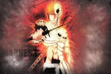 Ichigo Skeleton Armor   1920x1200   Full HD 16/10   Wallpapers ...