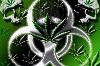 Wallpapers Marijuana Image