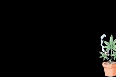 Marijuana Wallpapers   (