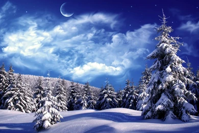 Christmas Winter Scenes Wallpapers