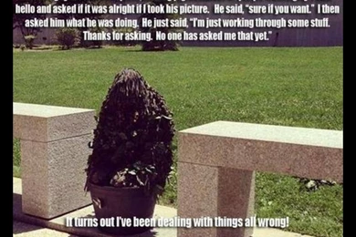 Epic Funny Cat Fails 12 Hd Wallpapers   Funnypicture.org