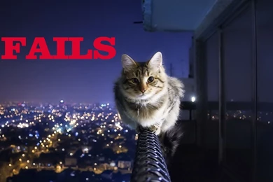 Epic Funny Cat Fails 1 Cool Wallpapers   Funnypicture.org