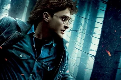 HP7 HD Desktop Wallpapers : Widescreen : High Definition ...