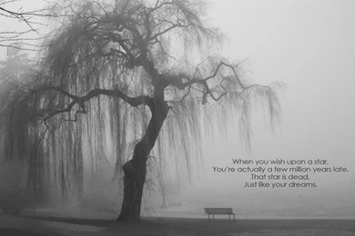 Demotivational Wallpapers   Album On Imgur