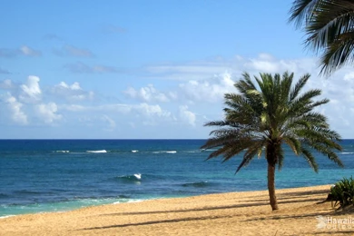 Free Hawaii Desktop Wallpapers   Wallpapers Cave