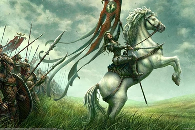 WARRIOR ON WAR WALLPAPER   (