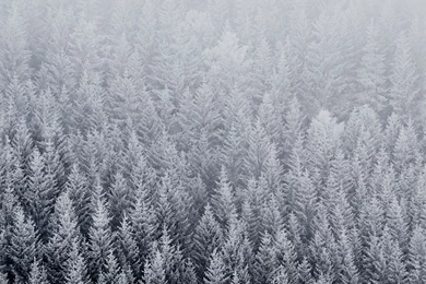 IOS 8 iPad Wallpaper Jason Zigrino 2.jpg