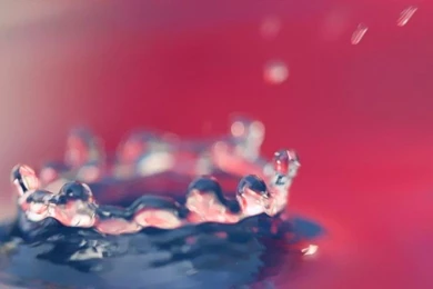 Background4 image 600tall.jpg