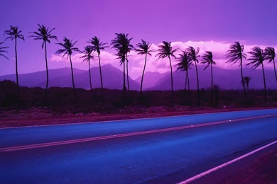 New Nature Wallpapers: Wallpapers For Gmail