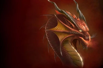 Wallpapers Dragons Anne Stokes Fantasy Image