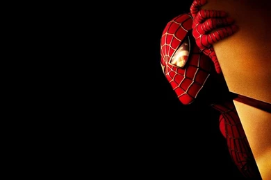 Having Fun With The Spiderman Desktop Backgrounds For Our Computer ...