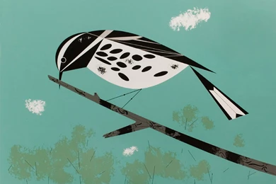 Jacinto Blog: Charley Harper