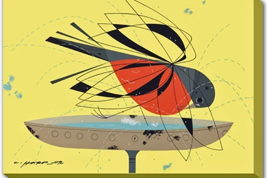 Charley Harper Wall Murals For Sale • The Charley Harper Gallery