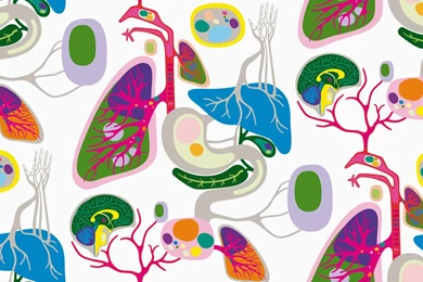 Tsunami Glassworks...: A Little Monday Illustration