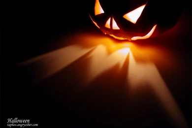 Desktop Wallpapers Hd Art Hd 3d Nature Butterfly Dwonload Hd ...