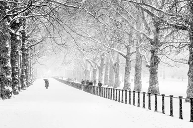 Winter Snow People Park City London Road Trees Wallpapers ...