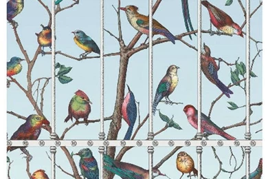 Cole & Son   Fornasetti II Uccelli Wallpapers   Eclectic ...