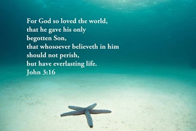 Bible Verses On Pinterest