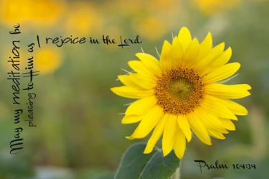 Religion BIBLE VERSES Quote Text Poster Bible Verses Jq Wallpapers ...