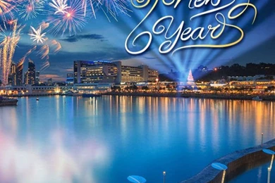 Happy_New_Year_Fireworks_iPhone 5 Wallpaper.jpg