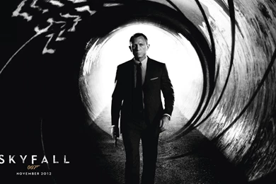 Skyfall James Bond Wallpapers   Daniel Craig Wallpapers (32623673 ...