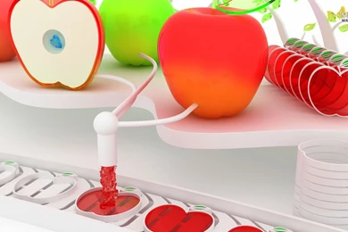 Glass Apple Molding Wallpapers   3D Wallpapers