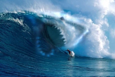 Shark Attack (Photoshop) If They Were This Big No one Would Go ...