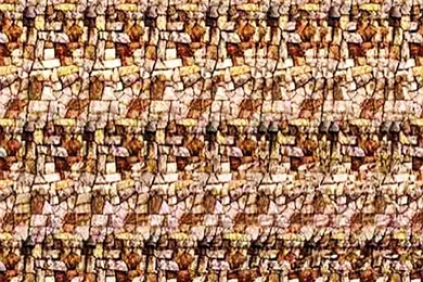 Stereogram