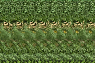 Wallpapers Stereogram Gallery Image .4 1024x768