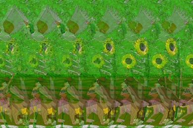 Stereograms On Pinterest