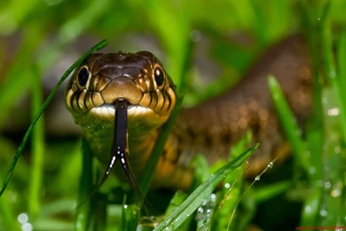 Travel Luggage Pink (id: 57170) – BUZZERG