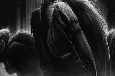 Movie, Anime, Abstract Wallpapers, Widescreen, Colors, 2560x1339 ...