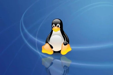 Linux Computer Desktop   Wallpaper.