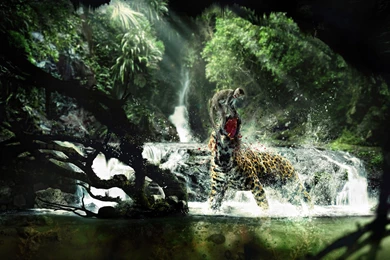 Life Wild HD Wallpapers