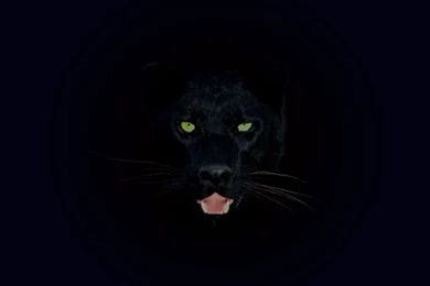 Dar Background of Black Panther Wallpaper.jpg