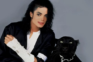 Panther Wallpapers, Download Free Black Panthers HD Wallpapers