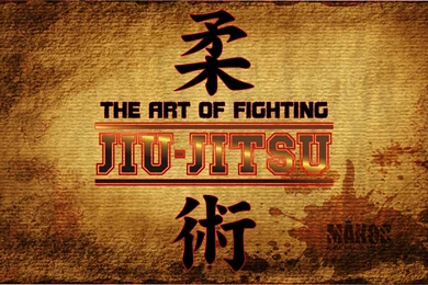 Brazilian Jiu Jitsu Quotes. QuotesGram