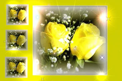 Yellow Rose Backgrounds   Wallpapers Cave